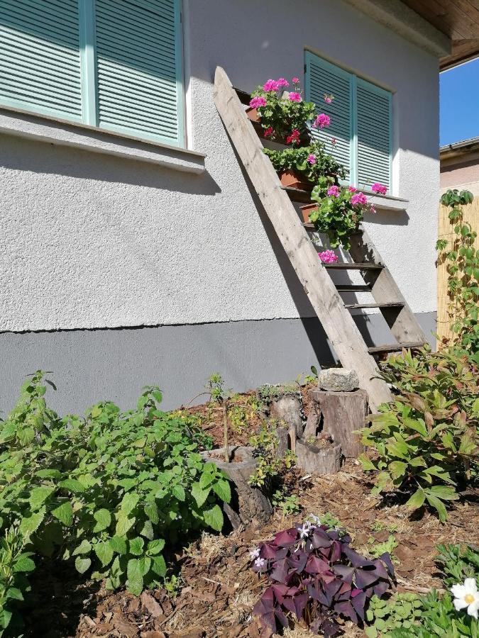 Menta Apartman Mezőkövesd 外观 照片