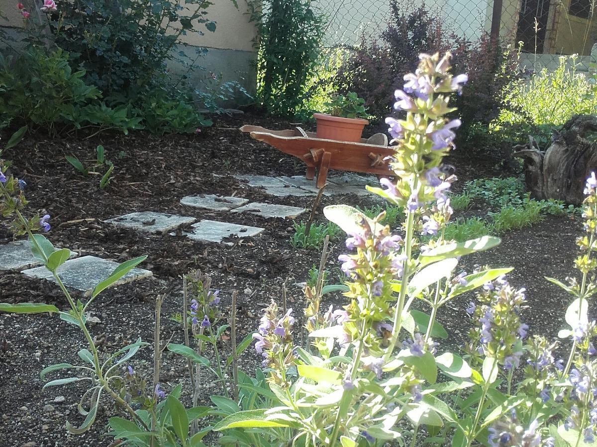 Menta Apartman Mezőkövesd 外观 照片